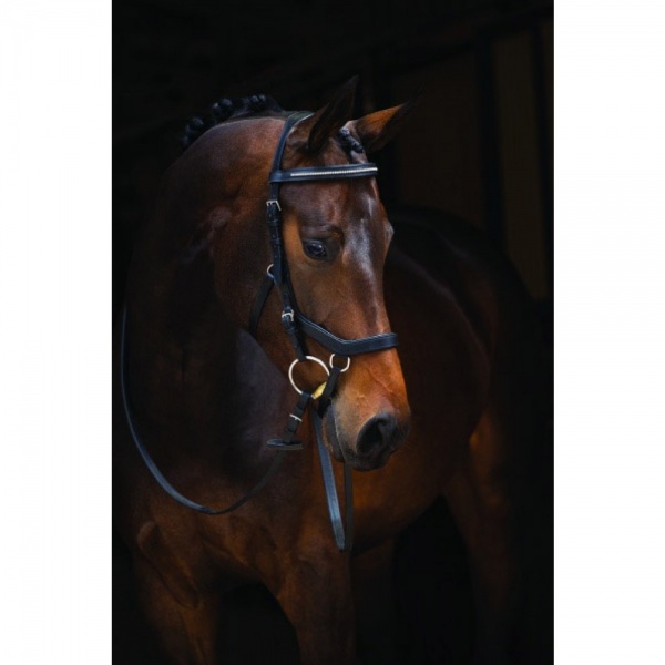 Rambo Micklem Cavezza In Pelle: Design Ergonomico Con Elastico, Regolabile, Per Cavallo