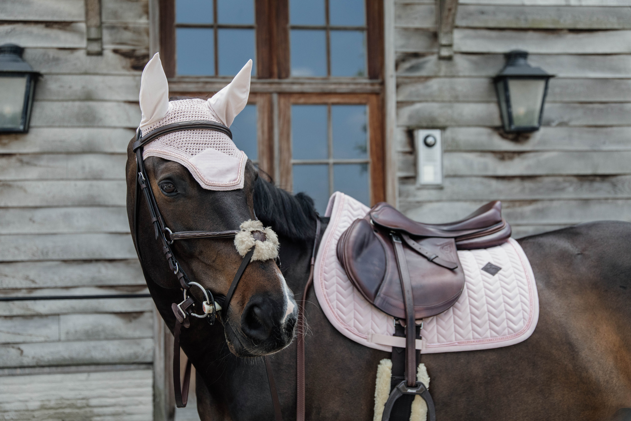 Kentucky Saddle Pad Pearls SJ - Høymyr Stall og Hesteutstyr
